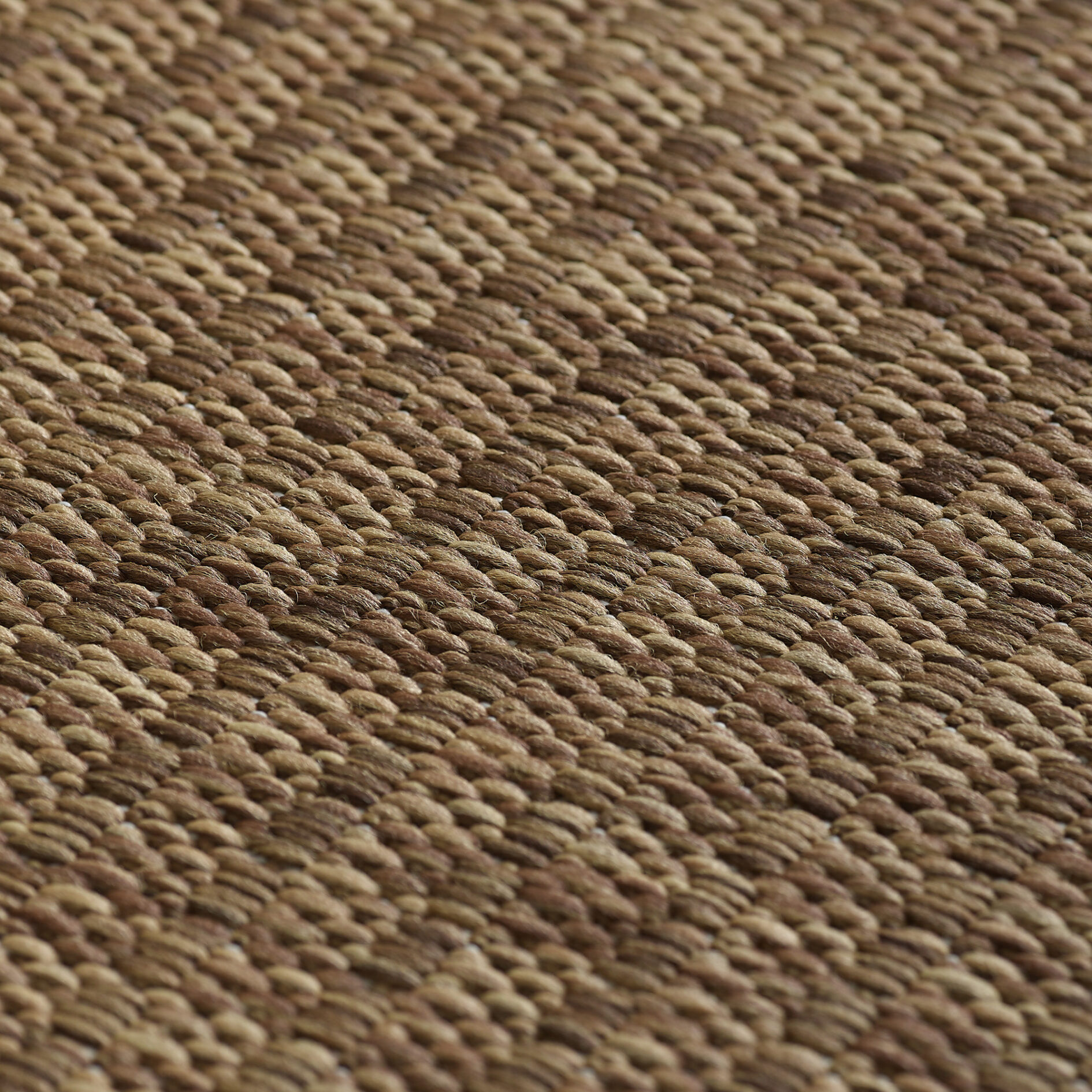 Giza 1410 In- & outdoor vloerkleed - Bruin